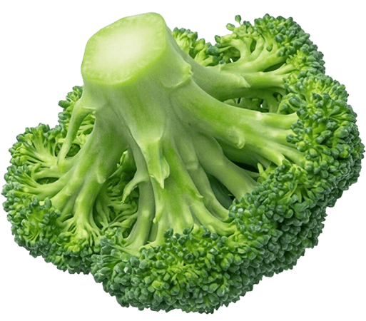 broccoli floret