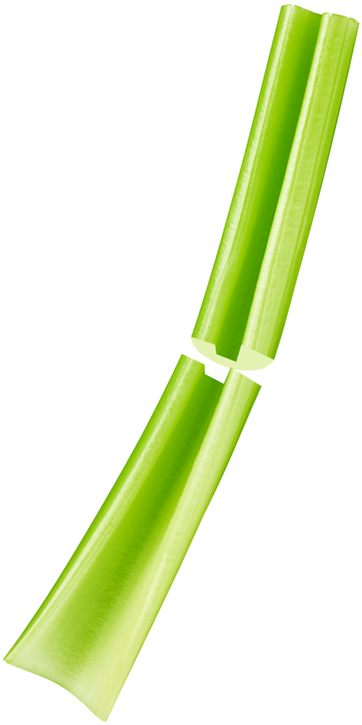 celery stick snapped